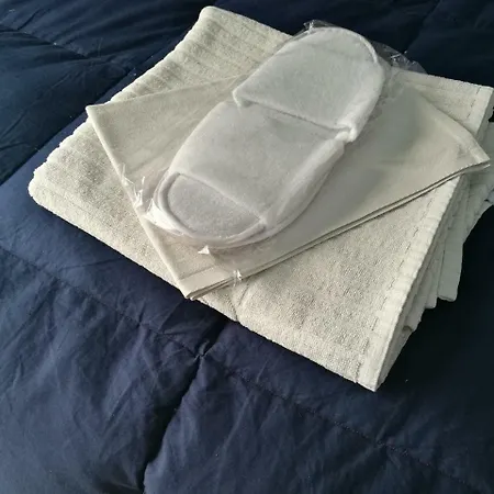 Villa Camilla Milano Metro 4 米兰